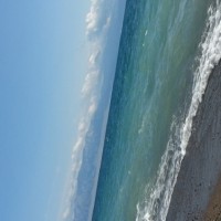 沙玛丽