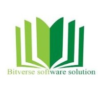 BitVerse Soft