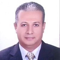 Nabil Shoukry