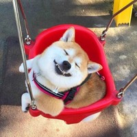 刘昌隆