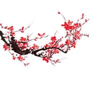 Fang Yi