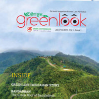 green look Magazine