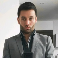 Luis David Arias Torres