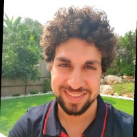 Hadi Shaheen