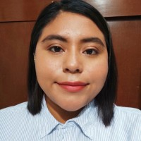 Diana Laura Canché Puga