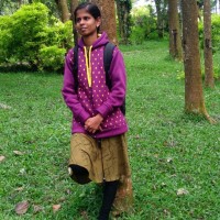 Pricilla F