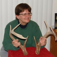 Sue Wilson