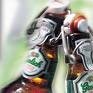 Piepke Grolsch