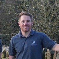 Daniel Lowe