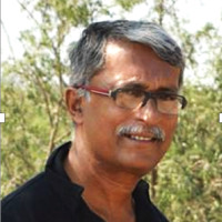 Uday Bhanu Roy