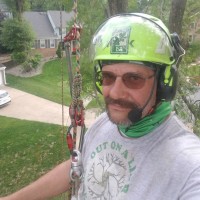 Adam Wingo, Certified Arborist, TRAQ Out on a Limb Tree Service