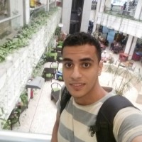 Amr Ali