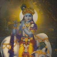 Anil Kumar Sain