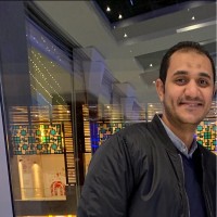 Mohamed Elgarnousy