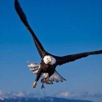 欧阳勇