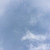 孙笑天