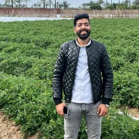 youssef zaytoon
