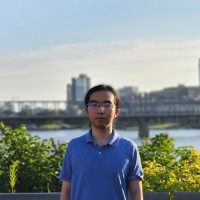 Andrew Yang