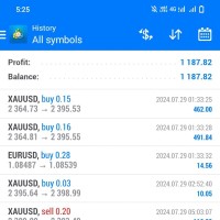 Forex Trader