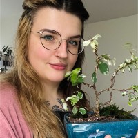 Oli Pothos