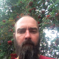 Mark McFadden