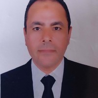 Mohammed Ali Ibrhaim Elgazzer