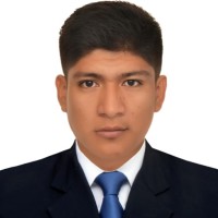 Luis Fernando Riojas Peche