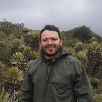 Cesar D Jimenez Rodriguez