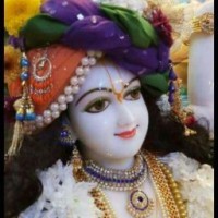 Bhavna Singh