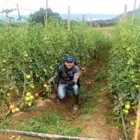 Cristian Rincón Ibarra