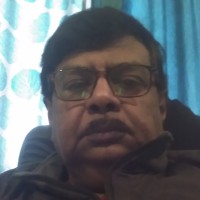Dipak Kumar Roy