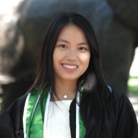 Kim Nguyen