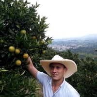 DIEGO FERNANDO CASTRO VARGAS