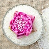 Sona International company