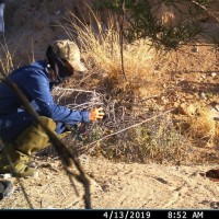 Cecilia Cornejo Mancera