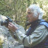 Paolo Pasquinelli