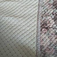 林金希