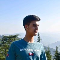 Hardik Kaushal