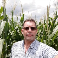 Ing. Agr.(MBI) Horacio Castro