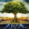 The Tree Of Life