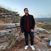 Ali Bechara