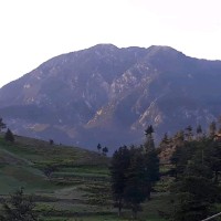 Hamid Ullah
