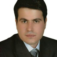 hamid sardari