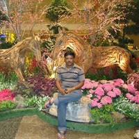 raghavendra n