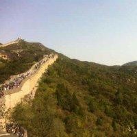 杨传虎