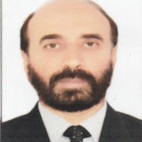 Said gul Safi