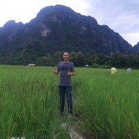 Vongphet sengphim