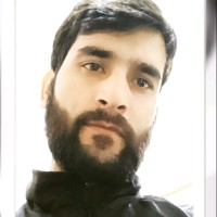 Adil Rashid