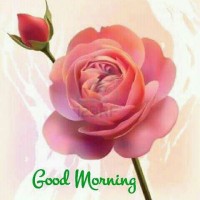 Jasveer Singh