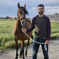 Mohammad Bahrami Khoshnoodi